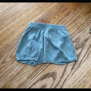 QM bloomers 2-3 yr